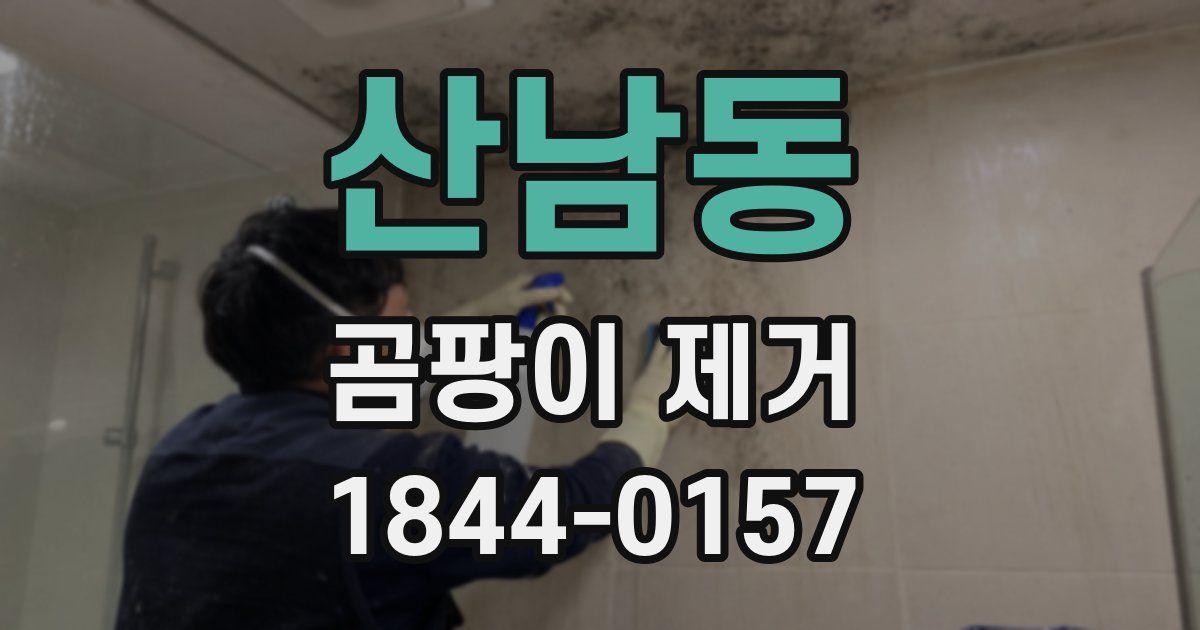 산남동 곰팡이 제거