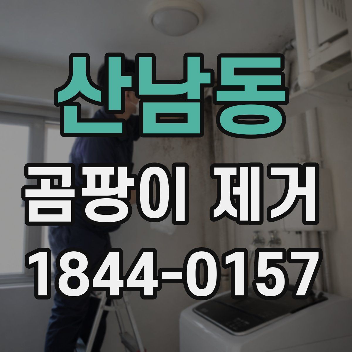 산남동 곰팡이 제거