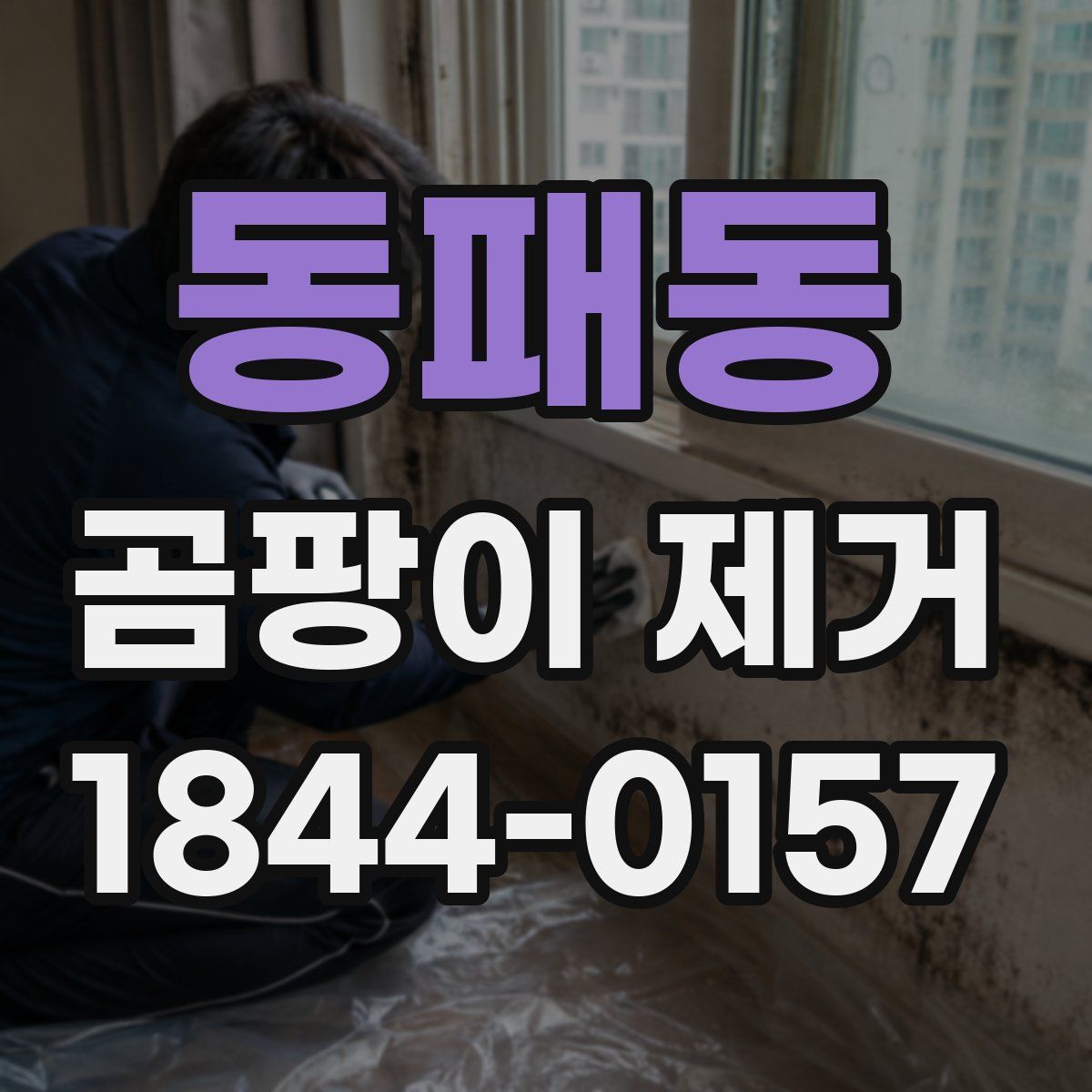 동패동 곰팡이 제거