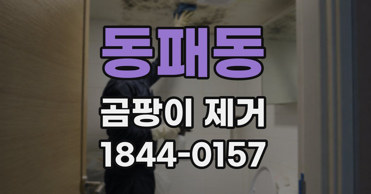 동패동 곰팡이 제거
