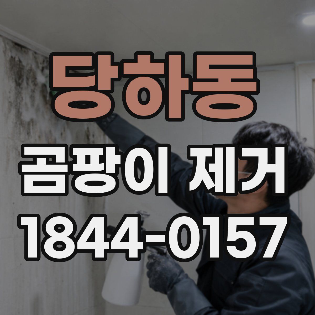 당하동 곰팡이 제거