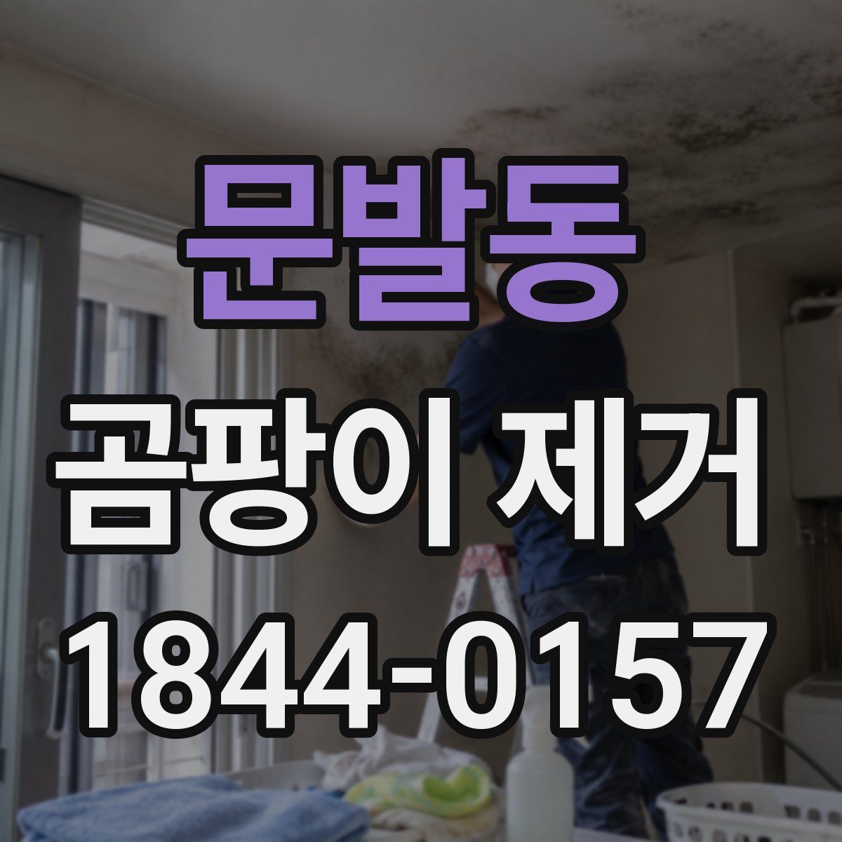 문발동 곰팡이 제거