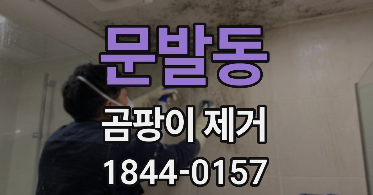 문발동 곰팡이 제거