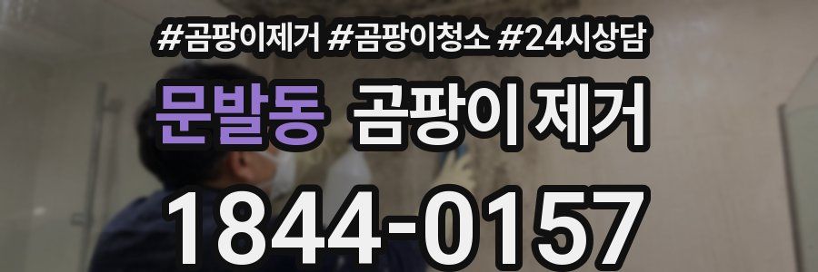 문발동 곰팡이 제거