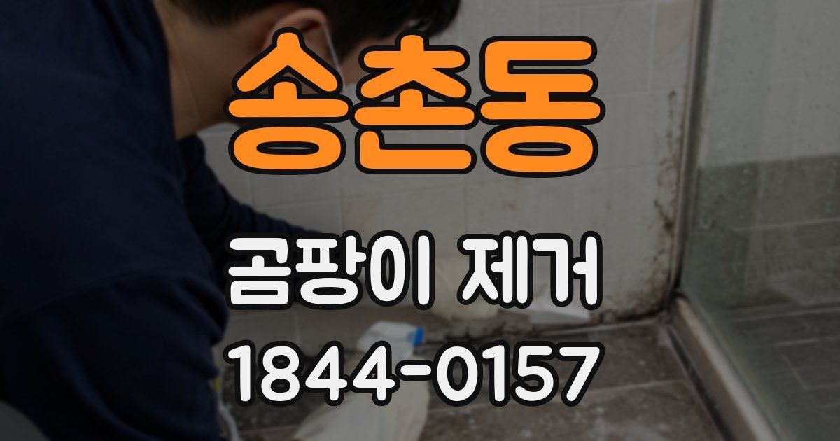 송촌동 곰팡이 제거