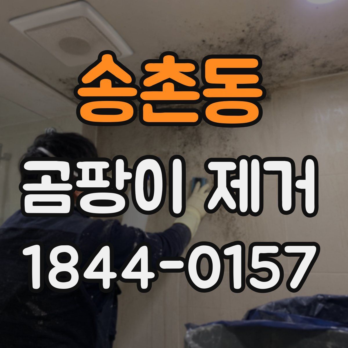 송촌동 곰팡이 제거