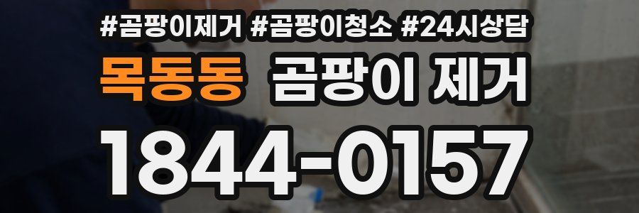 목동동 곰팡이 제거