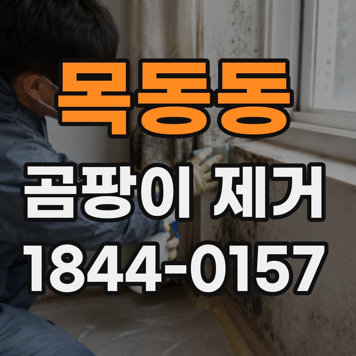 목동동 곰팡이 제거