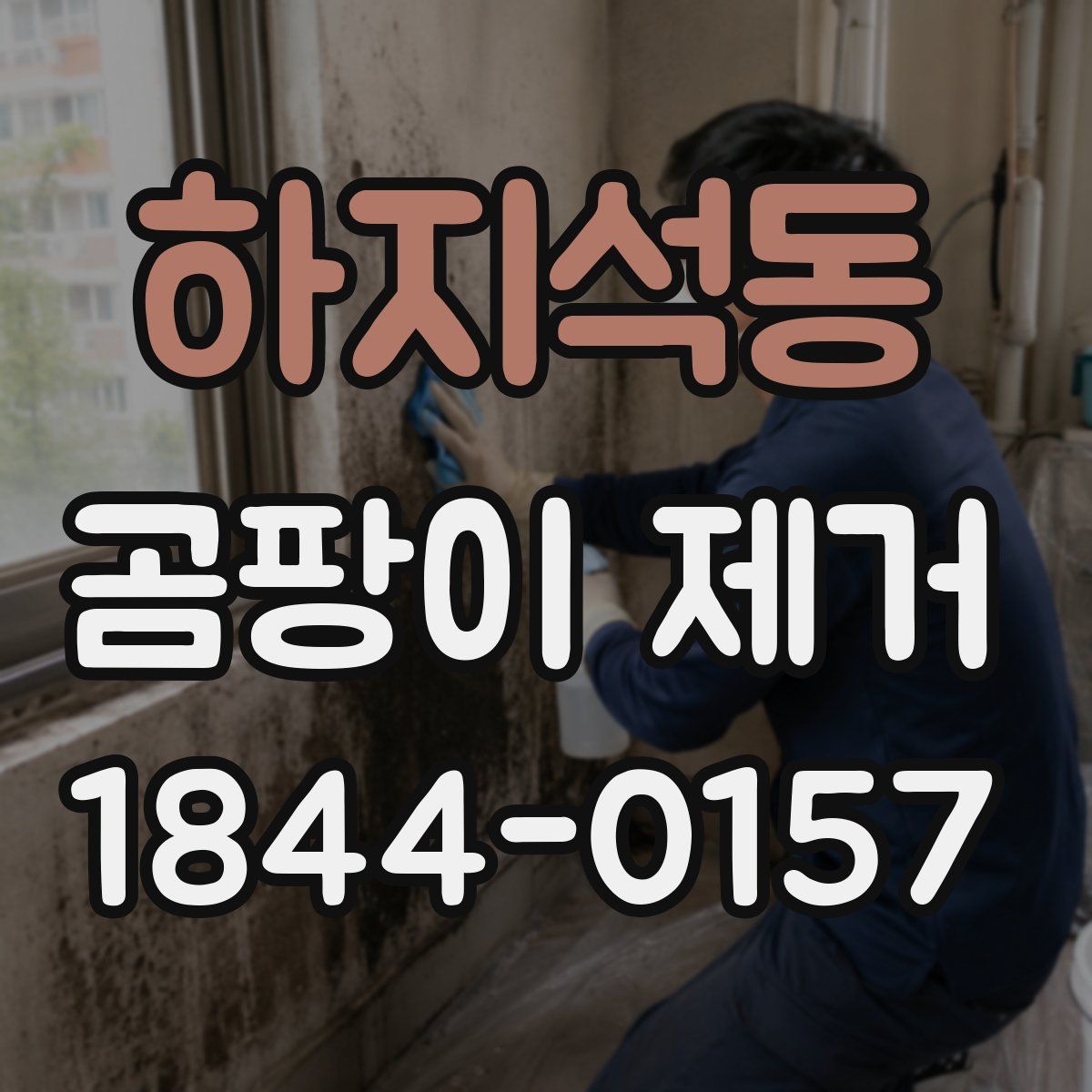 하지석동 곰팡이 제거