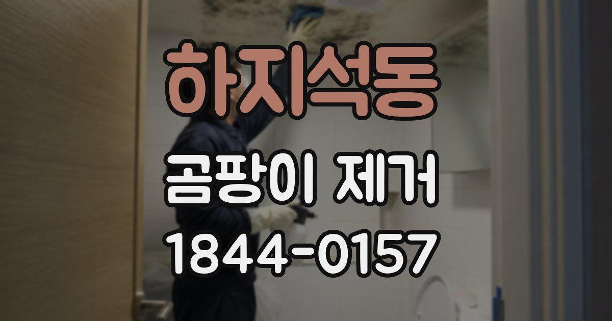 하지석동 곰팡이 제거