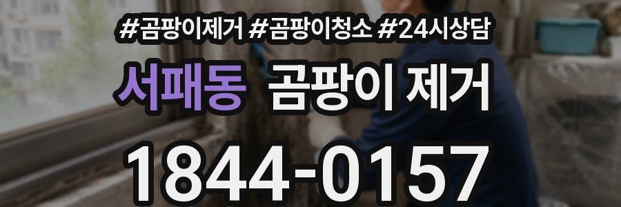 서패동 곰팡이 제거