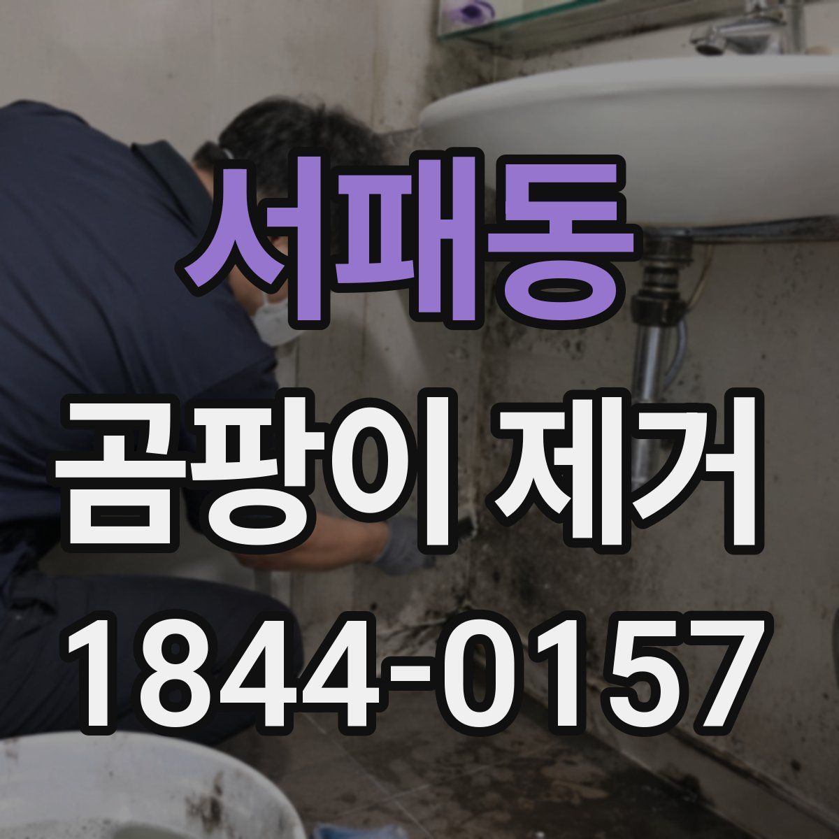서패동 곰팡이 제거