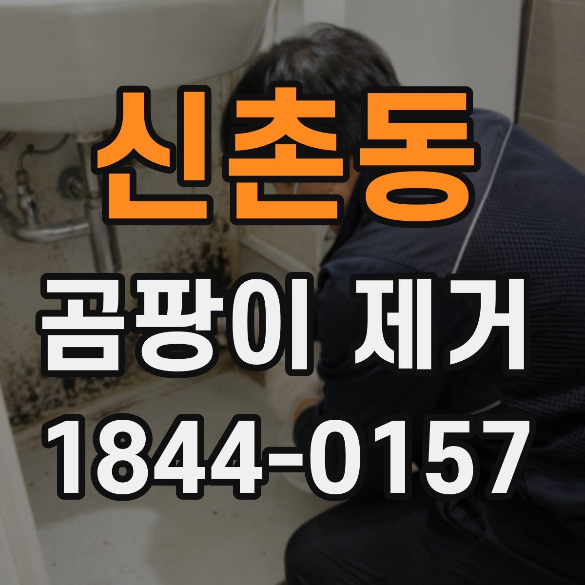 신촌동 곰팡이 제거
