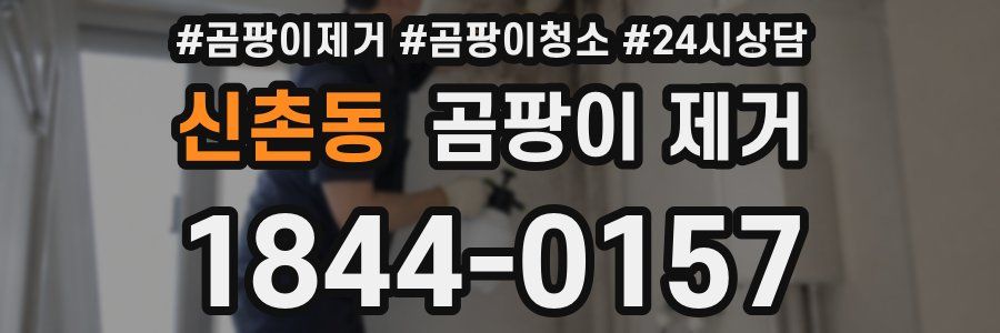 신촌동 곰팡이 제거