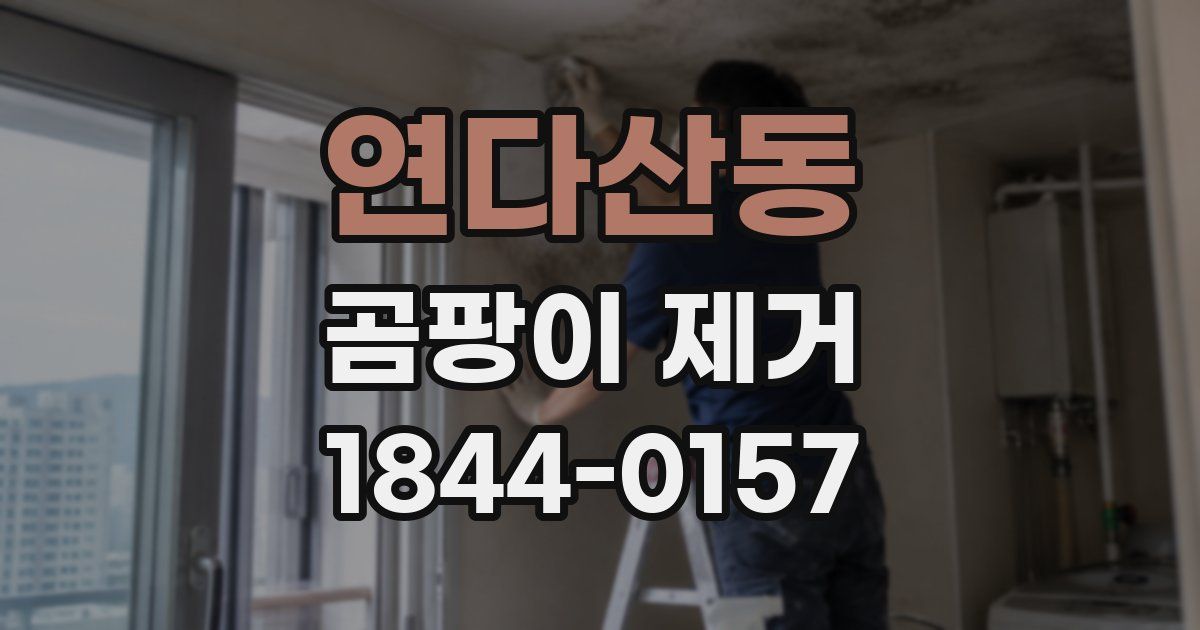연다산동 곰팡이 제거
