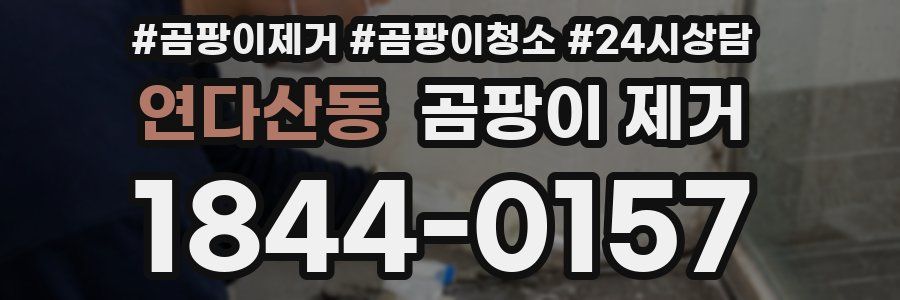연다산동 곰팡이 제거