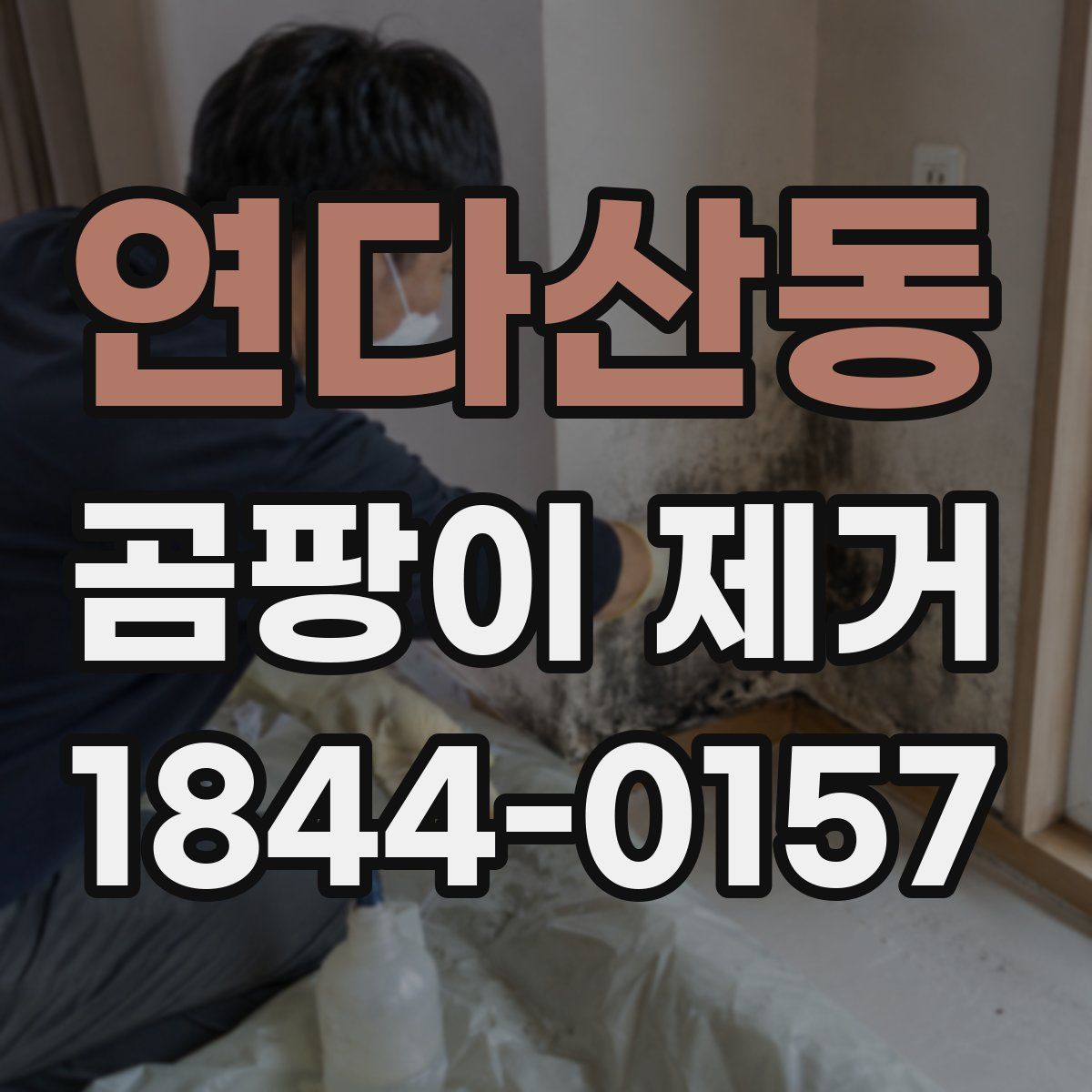 연다산동 곰팡이 제거
