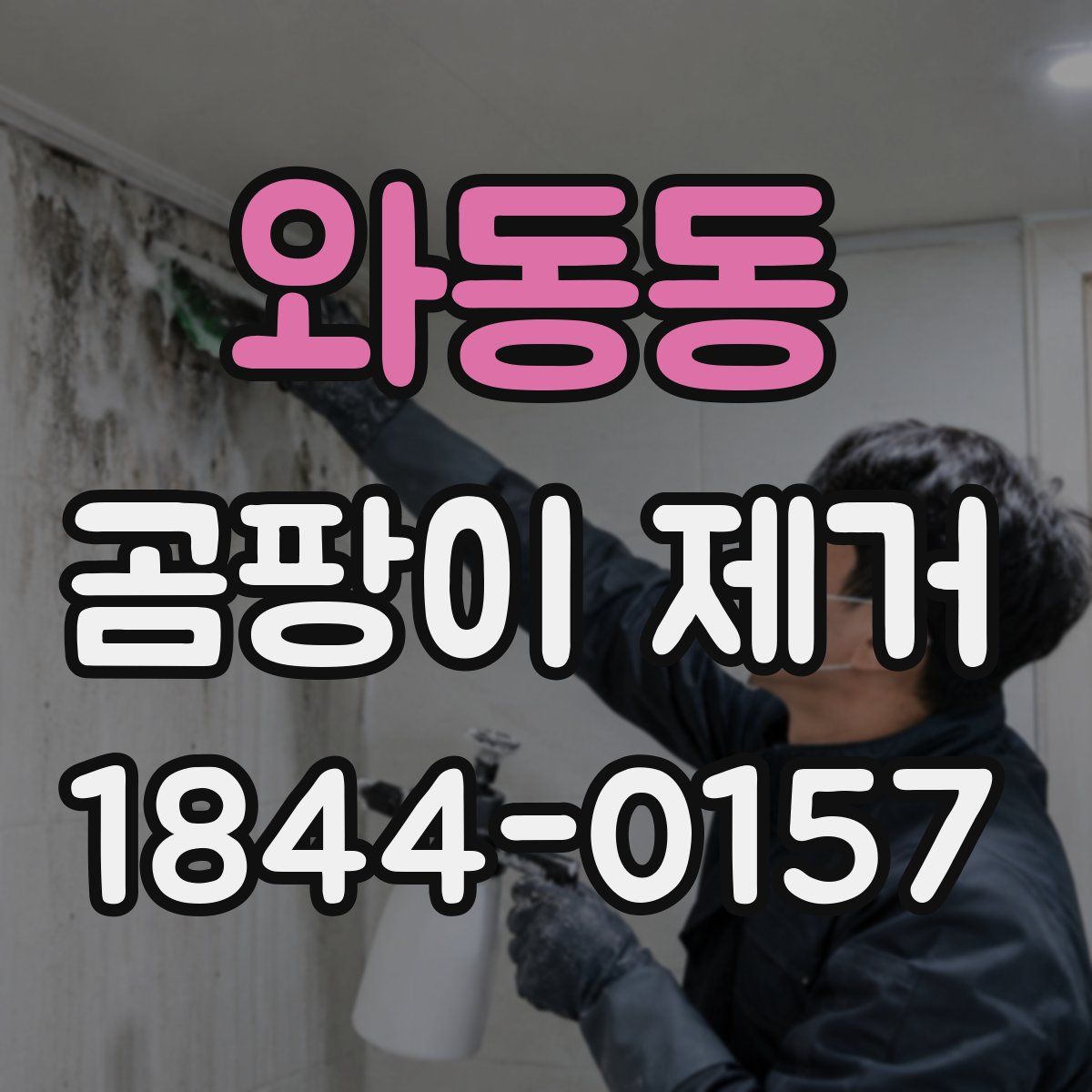 와동동 곰팡이 제거