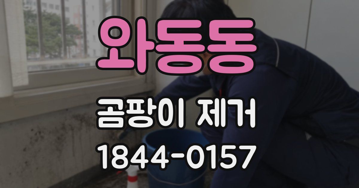 와동동 곰팡이 제거