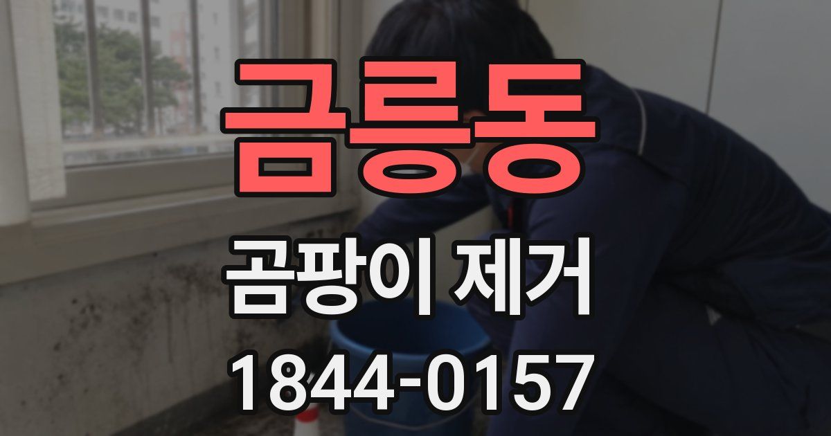금릉동 곰팡이 제거