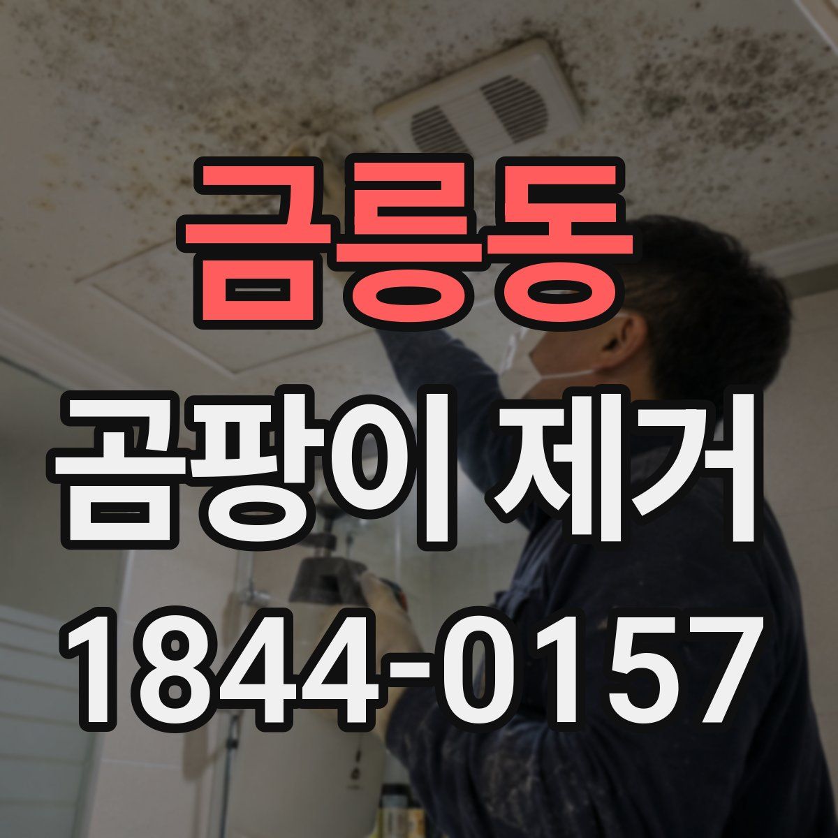 금릉동 곰팡이 제거