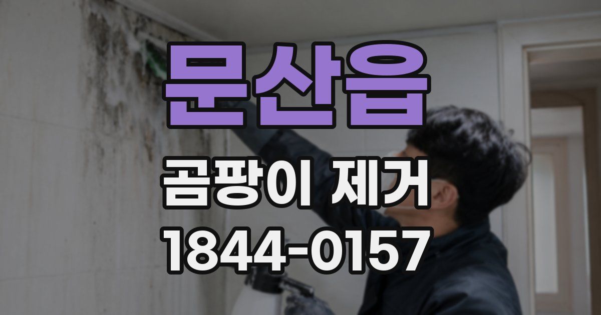 문산읍 곰팡이 제거