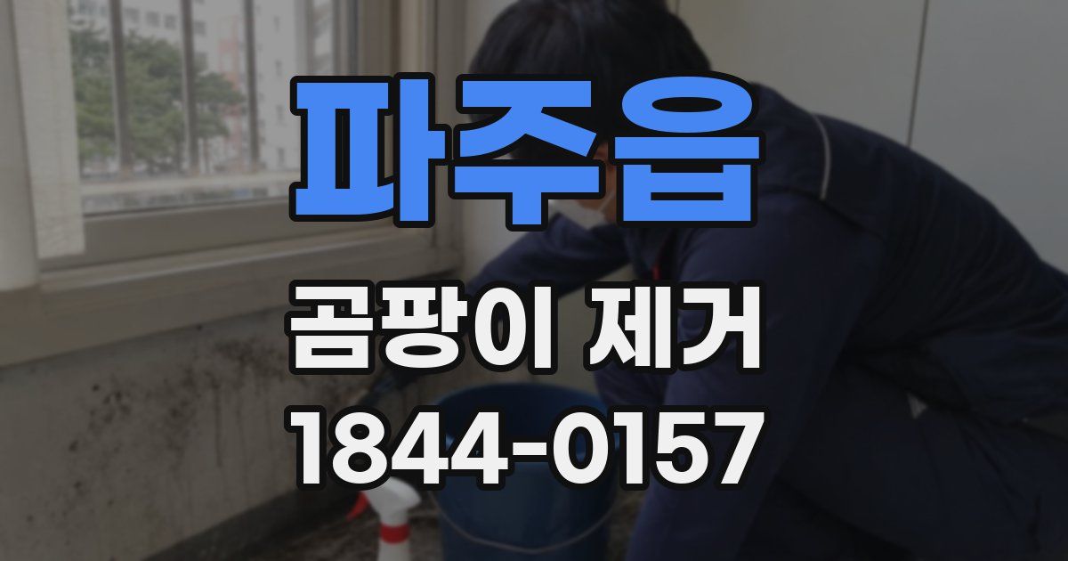 파주읍 곰팡이 제거