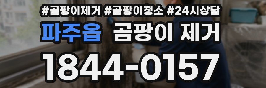파주읍 곰팡이 제거