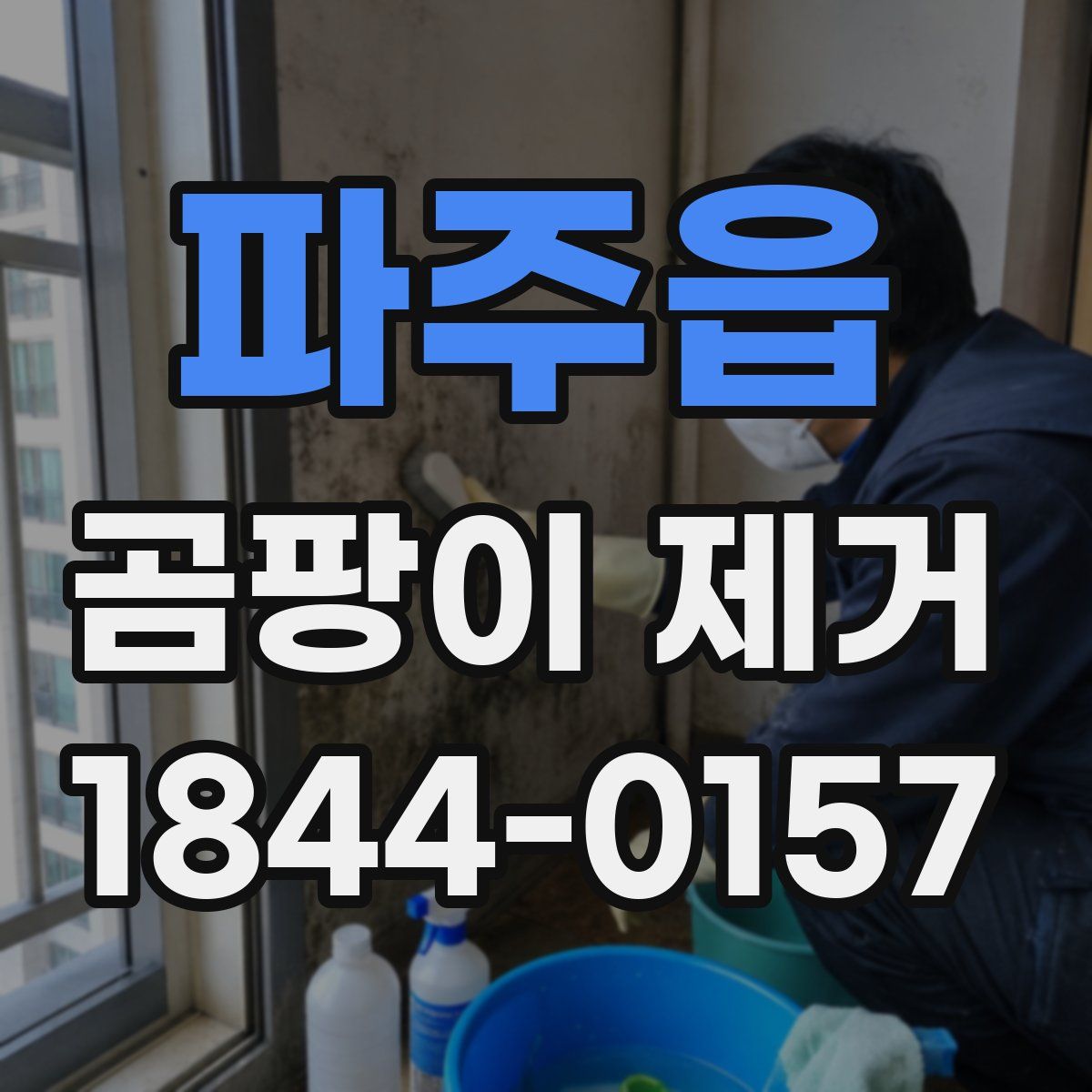 파주읍 곰팡이 제거