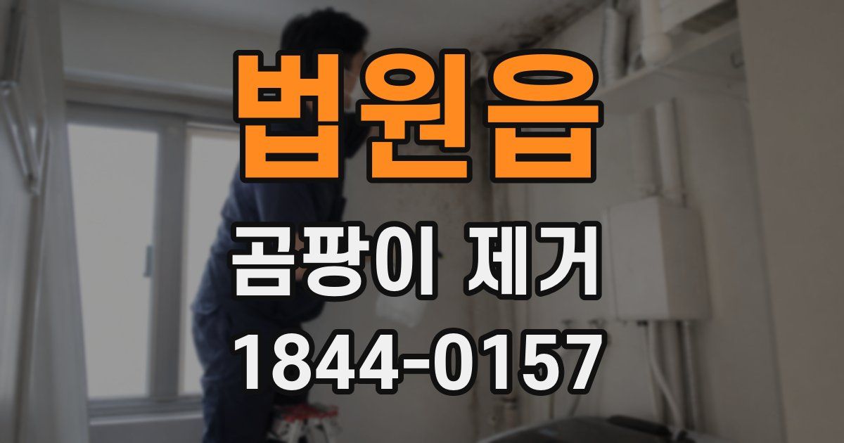 법원읍 곰팡이 제거