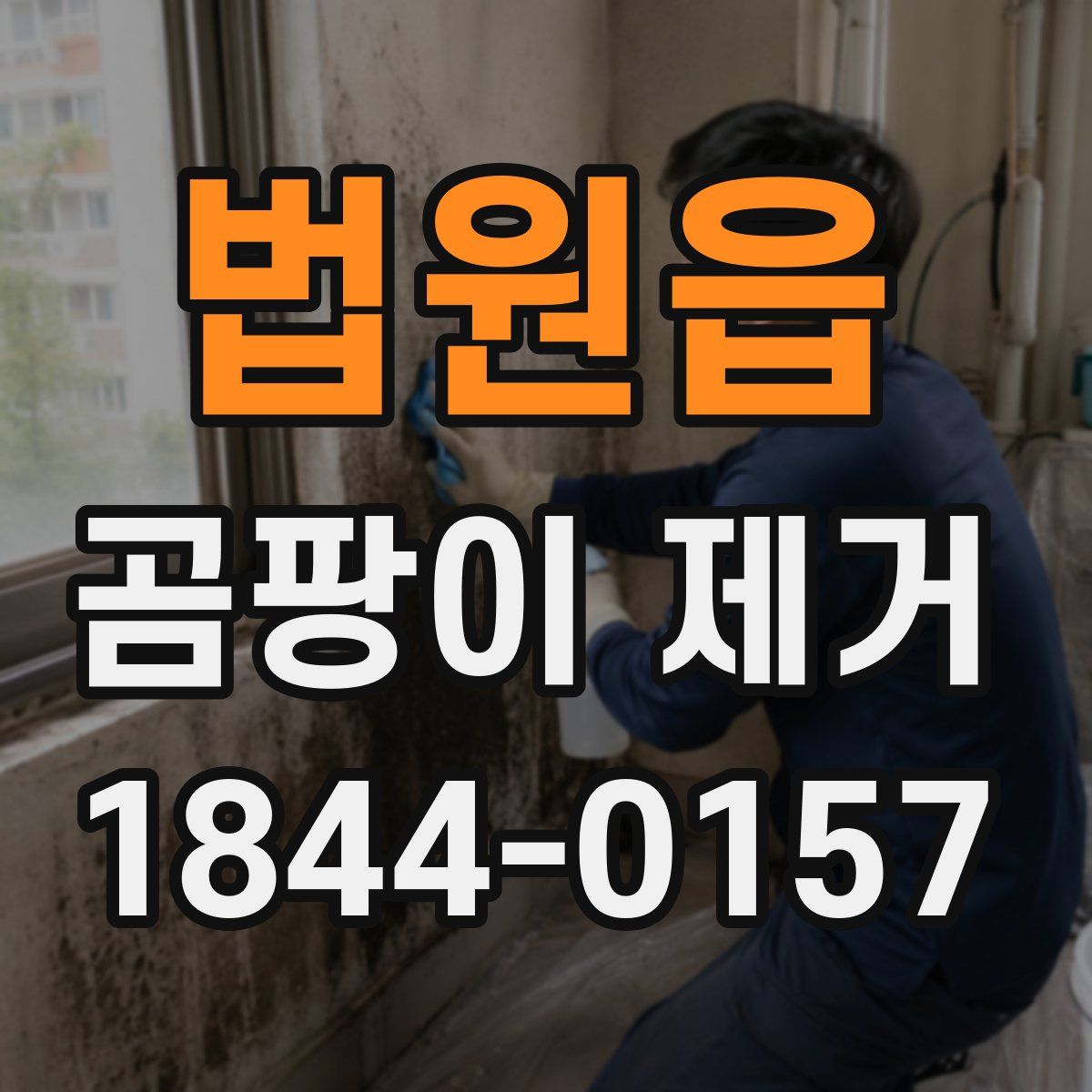 법원읍 곰팡이 제거
