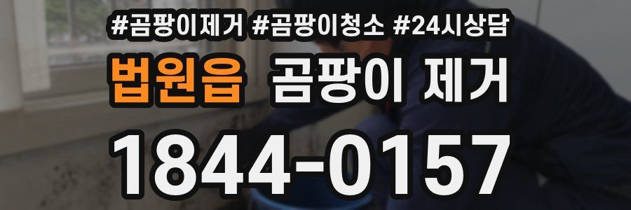 법원읍 곰팡이 제거
