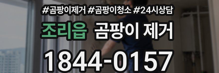 조리읍 곰팡이 제거