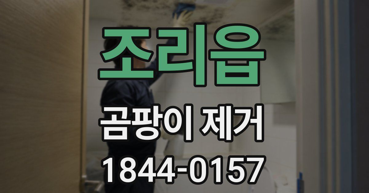 조리읍 곰팡이 제거