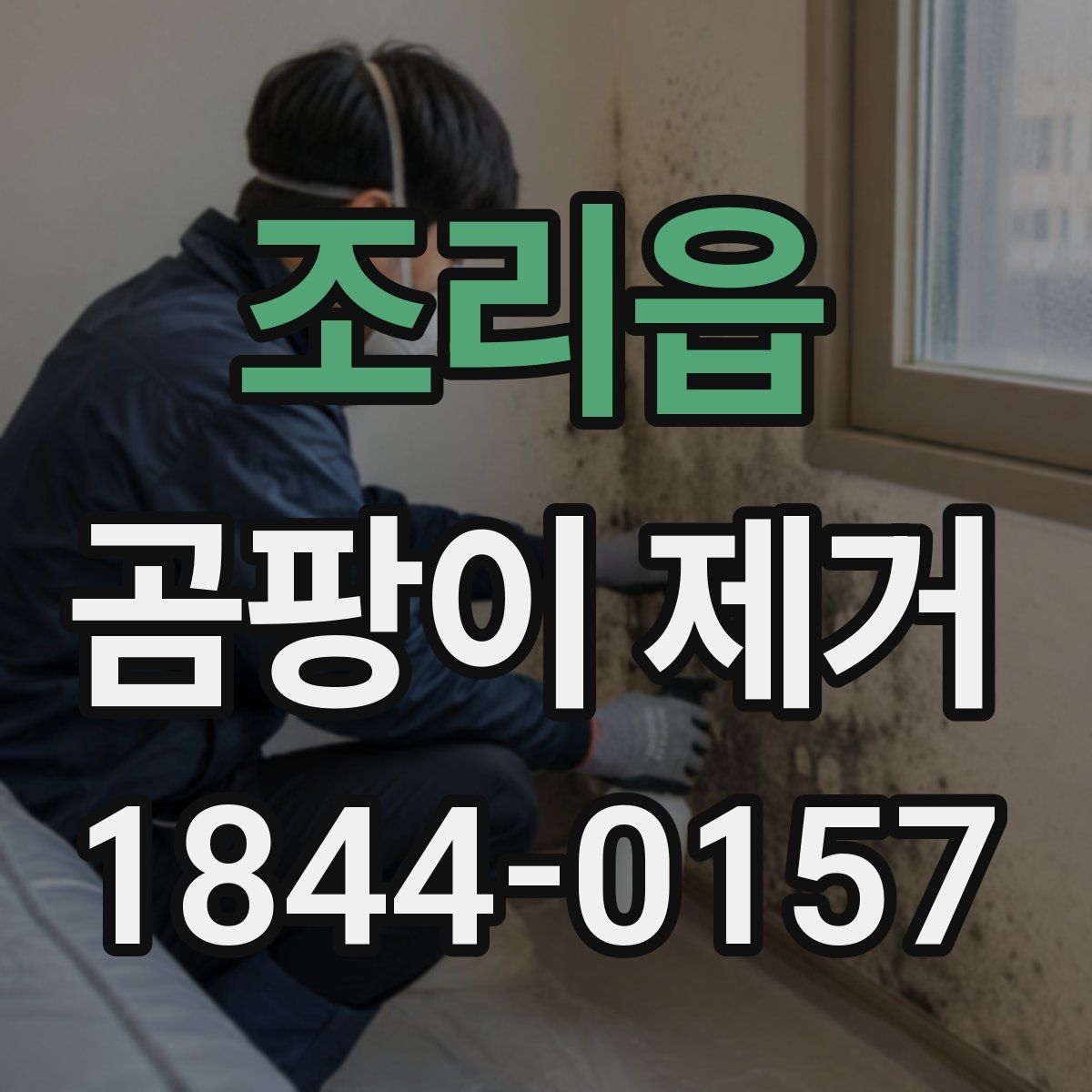조리읍 곰팡이 제거