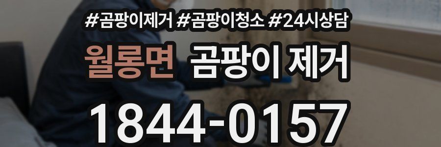 월롱면 곰팡이 제거