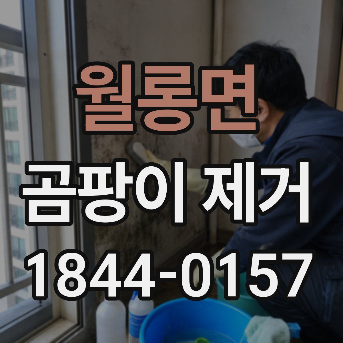 월롱면 곰팡이 제거
