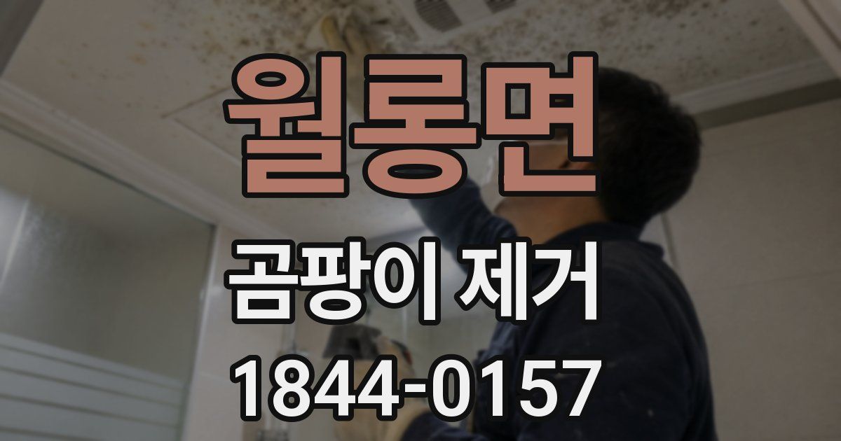 월롱면 곰팡이 제거