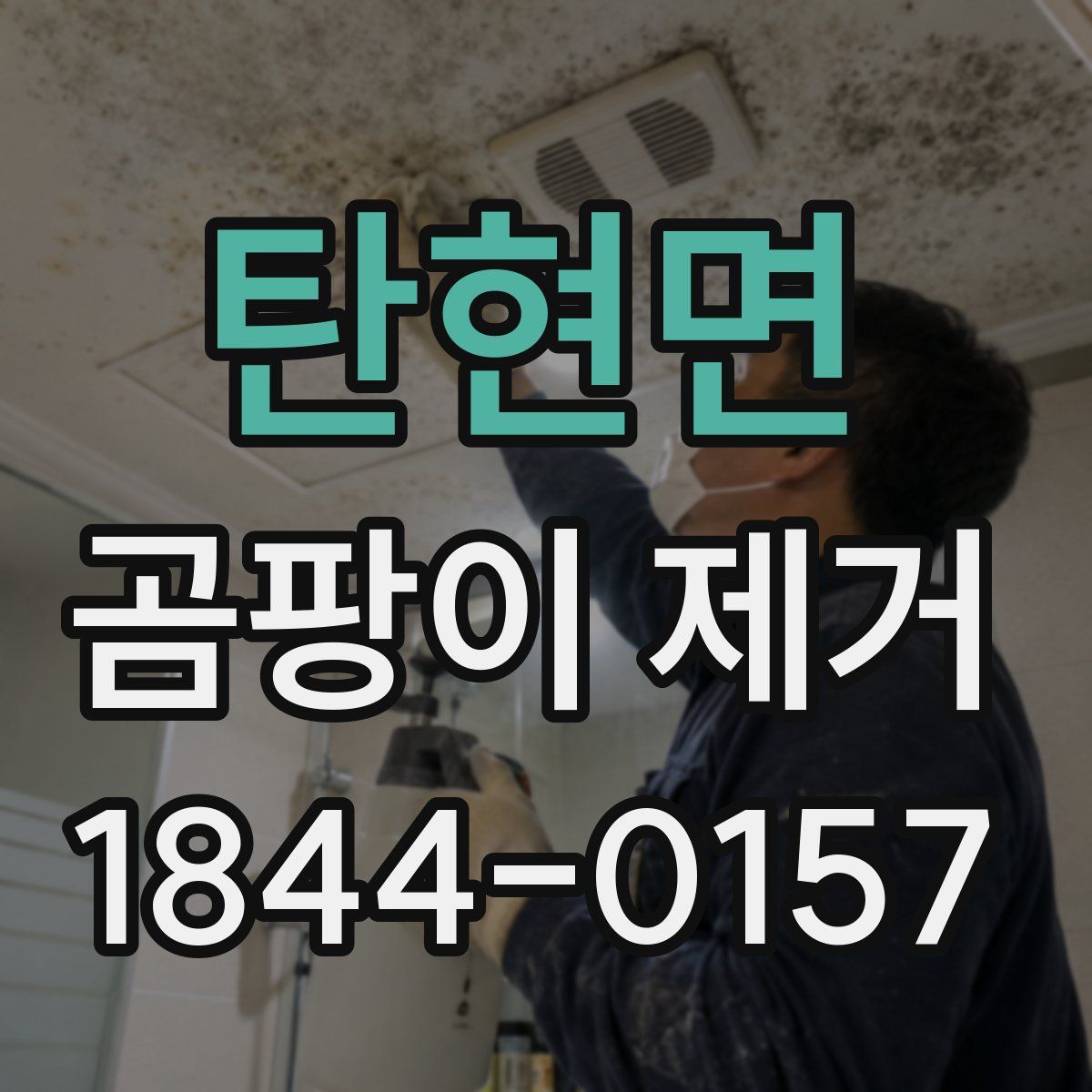 탄현면 곰팡이 제거
