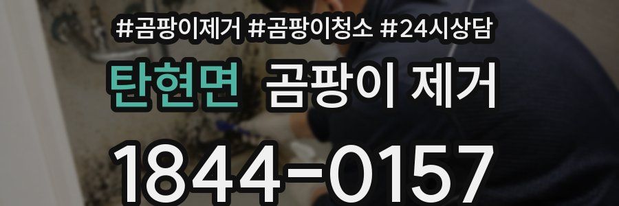 탄현면 곰팡이 제거