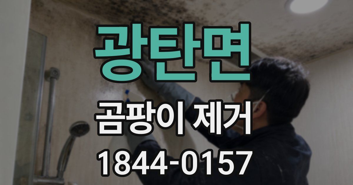광탄면 곰팡이 제거