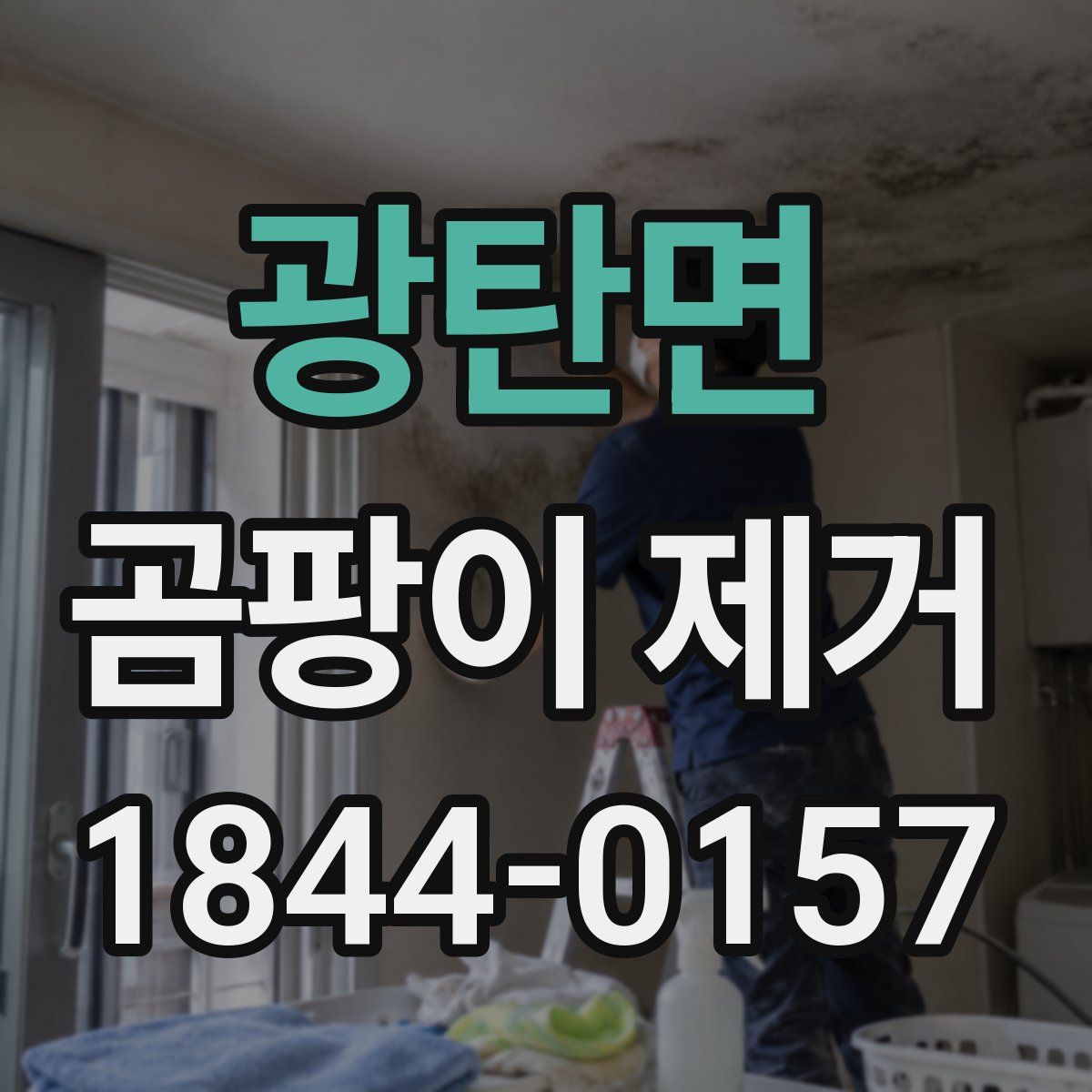 광탄면 곰팡이 제거
