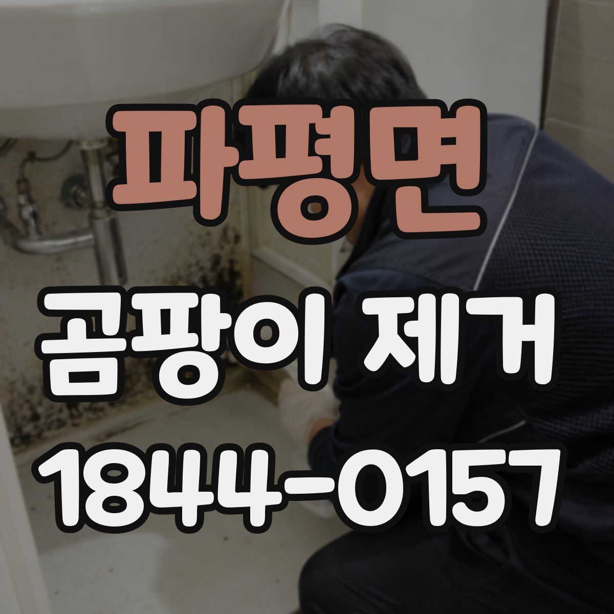 파평면 곰팡이 제거