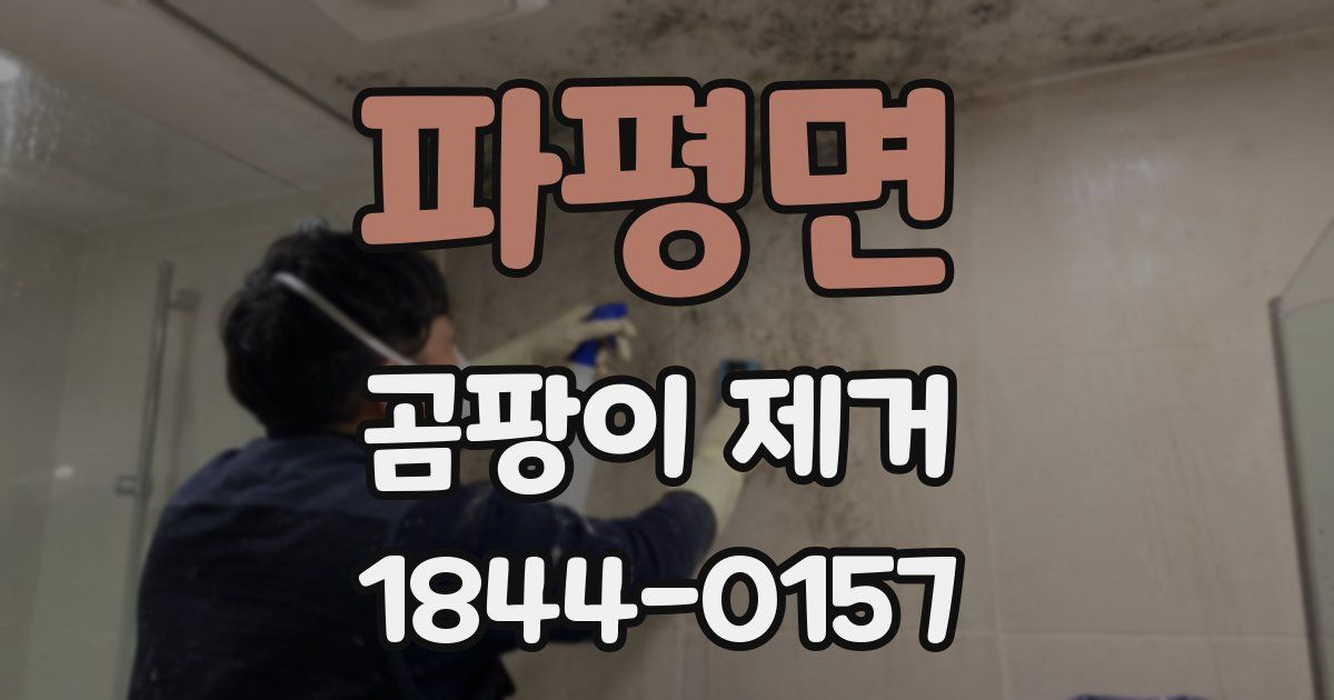 파평면 곰팡이 제거