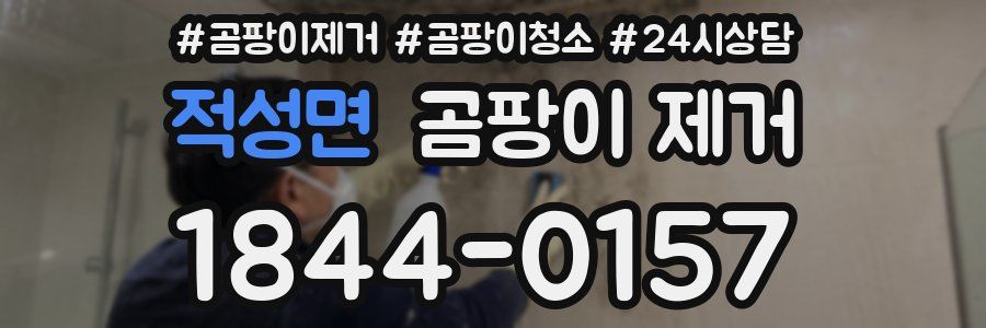 적성면 곰팡이 제거