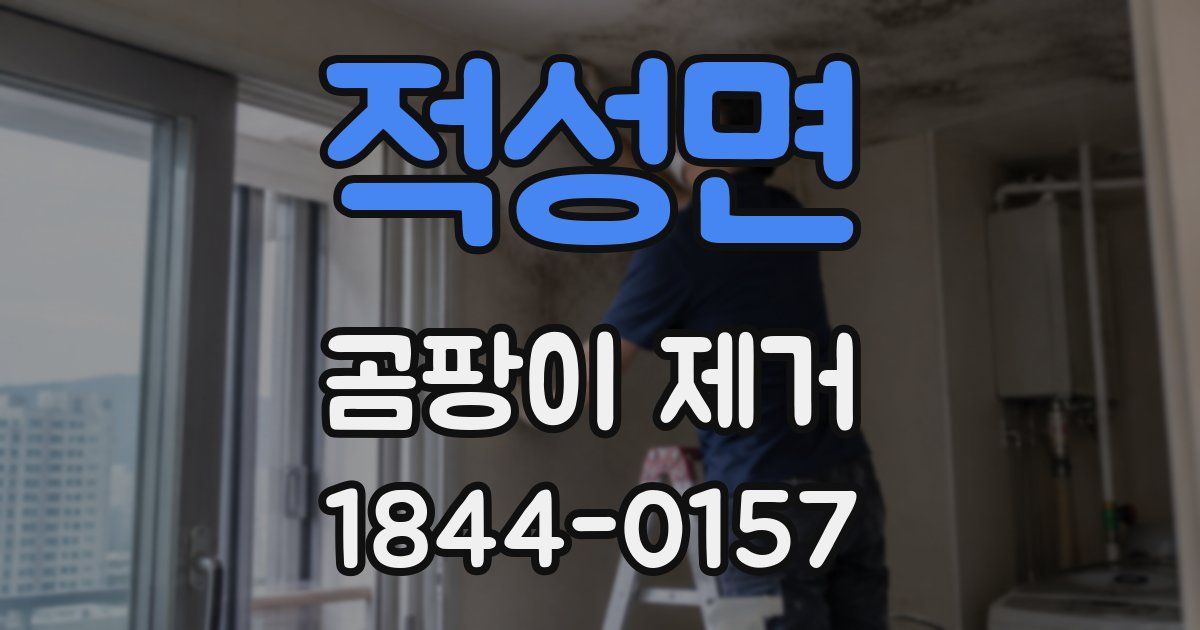 적성면 곰팡이 제거