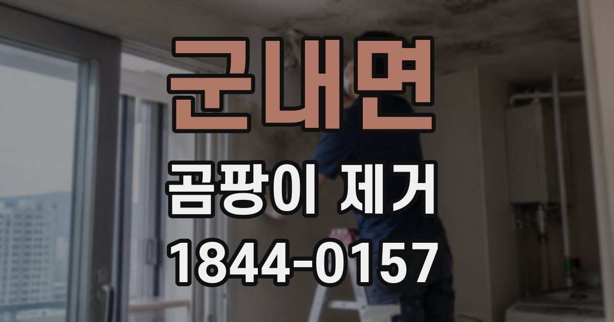 군내면 곰팡이 제거