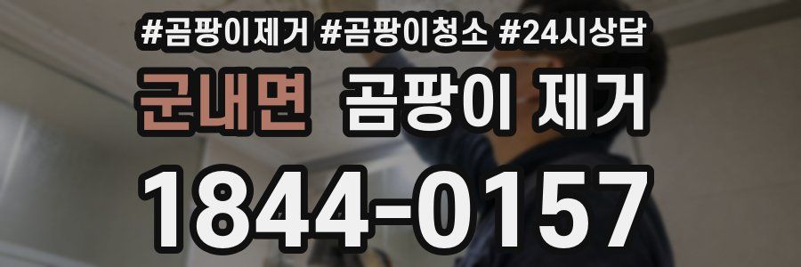 군내면 곰팡이 제거