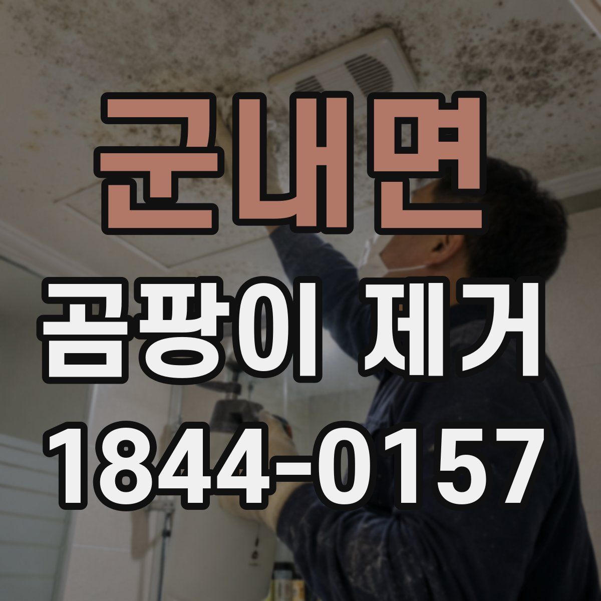 군내면 곰팡이 제거
