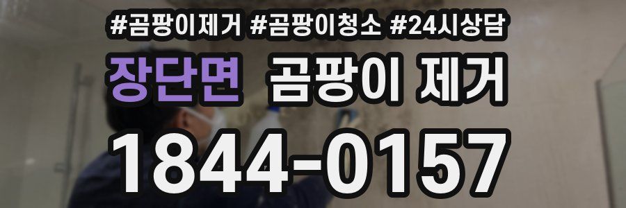 장단면 곰팡이 제거